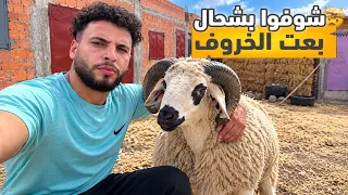 بيعت لحولي الصغير بي …… وبيعت باب الكراج ديال الدار وعدلت لوبة ديال باب السيارة
