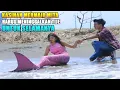 Kasihan Mermaid mita harus meninggalkan tije untuk selamanya | mermaid in love 2 dunia
