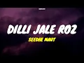 Dilli Jale Roz - Seedhe Maut (Lyrics)