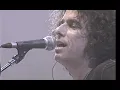 Andrés Calamaro - Vasos vacíos. Made in Argentina. Directo 2005
