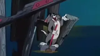 كله كله كوم وزعلك انت كوم حالات واتس محمد سعد 