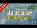 Blind Donkey - LIVE Webcam in downtown Cruz Bay St John USVI