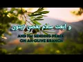 Download Lagu Elyanna - Olive Branch (lyrics) with English Translation