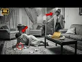 Bumpy Johnson s WIFE Was Poisoned in 1955 His 48-Hour Revenge Became LEGENDARY