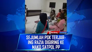 Live Sejumlah PSK Terjaring Razia Digiring ke Mako Satpol PP Kota Semarang