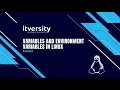 Variables and Environment Variables in Linux