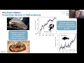 Massive Tides Warming Waters and Rising Seas The Gulf of Maine Explained