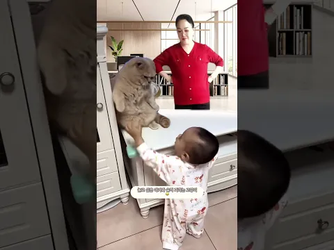 baby playing with cat 😂 친해지고 싶은 아기와 조심스러운 고양이🥰💛💖