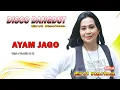 Lagu AYAM JAGO - ERVI KARINA - ( DISCO DANGDUT )