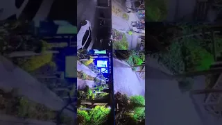 فیلم لحظه درگیری محمد علی قهرمانی با برادران پیراحمدی 