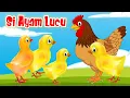 Lagu Si Ayam Lucu ❤️ Lagu Anak Ayam kecil ❤️ Lagu anak balita indonesia