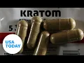 What is kratom and is it addictive The controversial supplement explained