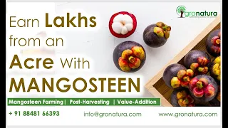വിവിധ തരം വിദേശയിനം പഴങ്ങളുമായി പൂർണമായും ജൈവ കൃഷി രീതിയിൽ കൃഷി ചെയ്യുന്ന .... 