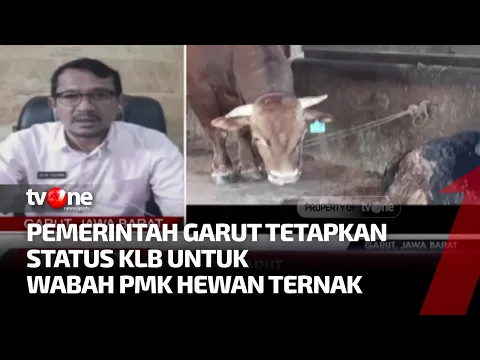 Wabah PMK Tembus 1000 Kasus, Pemerintah Garut Tetapkan Status KLB