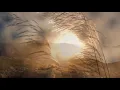 Nocturne    -    Paul Mauriat