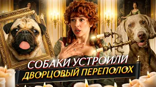 ОСКАР И ДЖОНИ УСТРОИЛИ ДВОРЦОВЫЙ ПЕРЕПОЛОХ 😱
