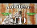 Download Lagu Danar Widianto - Dulu (Pil Koplo Remix)