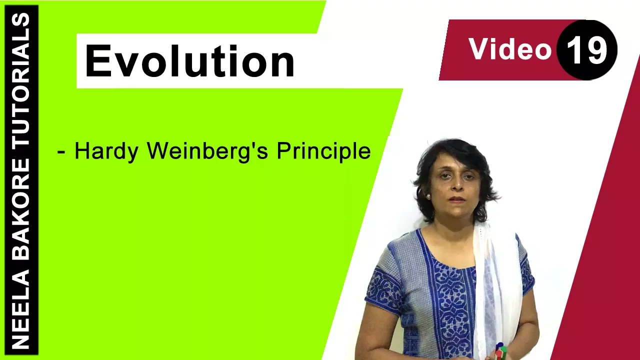 Evolution | NEET | Hardy Weinberg's Principle | Neela Bakore Tutorials