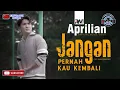 Download Lagu Aprilian - jangan pernah kau kembali lirik