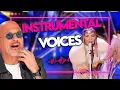 Download Lagu PROOF That The Voice Is An Instrument