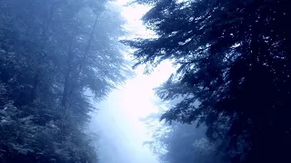 Rhmnsky ه د وء ف ي ال أ س ى Official Instumental Audio 