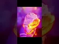 Download Lagu Ember and Wade kiss scene ❤️‍🔥 | Elemental