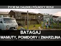 Download Lagu Batagaj - gdzie mamuty sąsiadują z pomidorami. Realia życia za rosyjskim kołem podbiegunowym