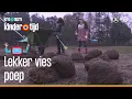 Lagu Poep | Lekker Vies (Kindertijd KRO-NCRV)