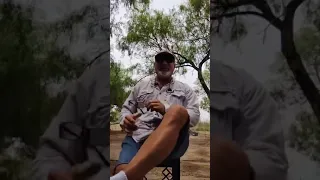 Prepotency of fowl