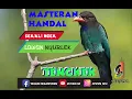 Download Lagu TENGKEK BUTO GACOR DAN SUPER JERNIH