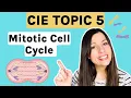 Mitosis the Cell Cycle 2027 - Entire topic CIE A-level Biology Topic 5