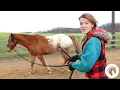 Download Lagu How to Lunge a Horse Without a Round Pen (For Beginners)