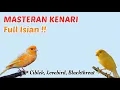 Download Lagu Masteran Kenari FULL Isian Lovebird, Ciblek, Blackthroat !!!