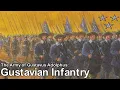 Download Lagu Gustavian Infantry | The Army of Gustavus Adolphus