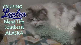 Cruising Lealea: Status Report March 2024