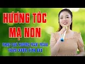 Download Lagu Hương Tóc Mạ Non - Ca Khúc Nhạc Quê Hương Ngọt Ngào Thắm Đượm Tình Quê - Ngọc Khánh