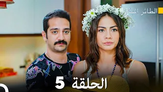 مسلسل الطائر المبكر الحلقة 5 دوبلاج عربي 