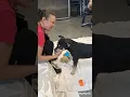 Erika is up for adoption at Glynn County Animal Services in Brunswick Georgia