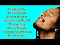 Download Lagu Maxi Priest - Wild World (lyrics)