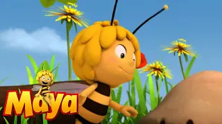 Download Maya, commander in chief - Maya the Bee - Episode 50 MP3