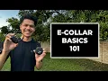 How We Use E-Collars in Dog Training