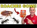 How To Use Baking Soda To Get Rid Of Roaches And Ants