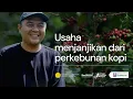 Lagu Usaha Menjanjikan dari Perkebunan Kopi