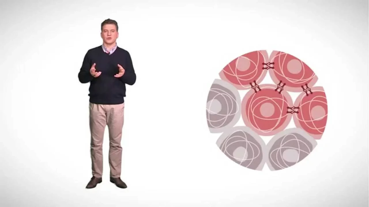 MOOC côté cours : Les mécanismes de l'adhérence cellulaire
