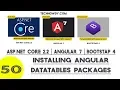 Angular 7 Installing Angular DataTables Packages