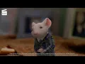 Lagu Stuart Little: Unexpected
