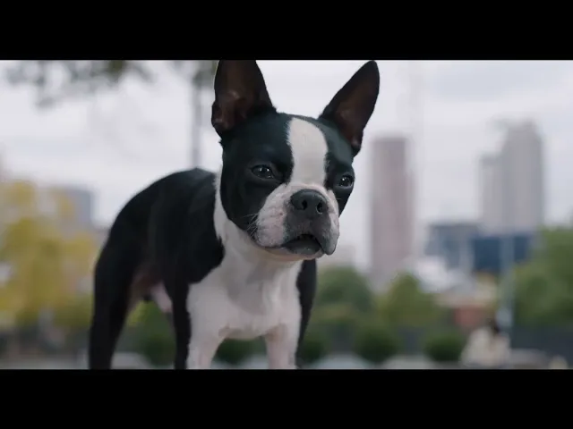 Doggy Style | Clip 'Style'