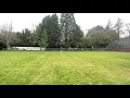 IMG 1287