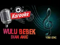 Download Lagu KARAOKE || WULU BEBEK || DIAN ANIC
