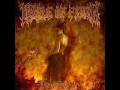 Cradle Of Filth - Nemesis